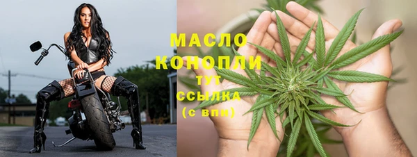 индика Верея