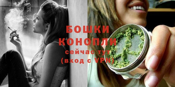 индика Верея
