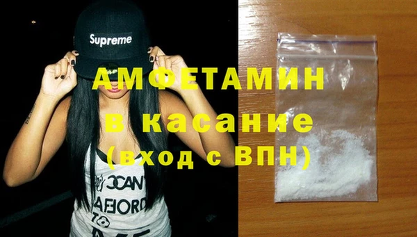 индика Верея