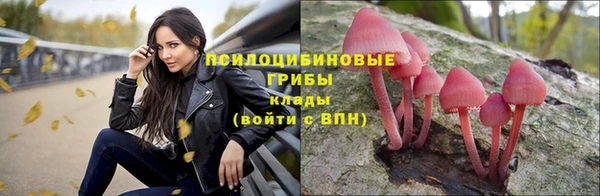 крисы Заволжск