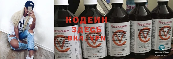 индика Верея
