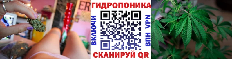 Канабис план  Карабаш 